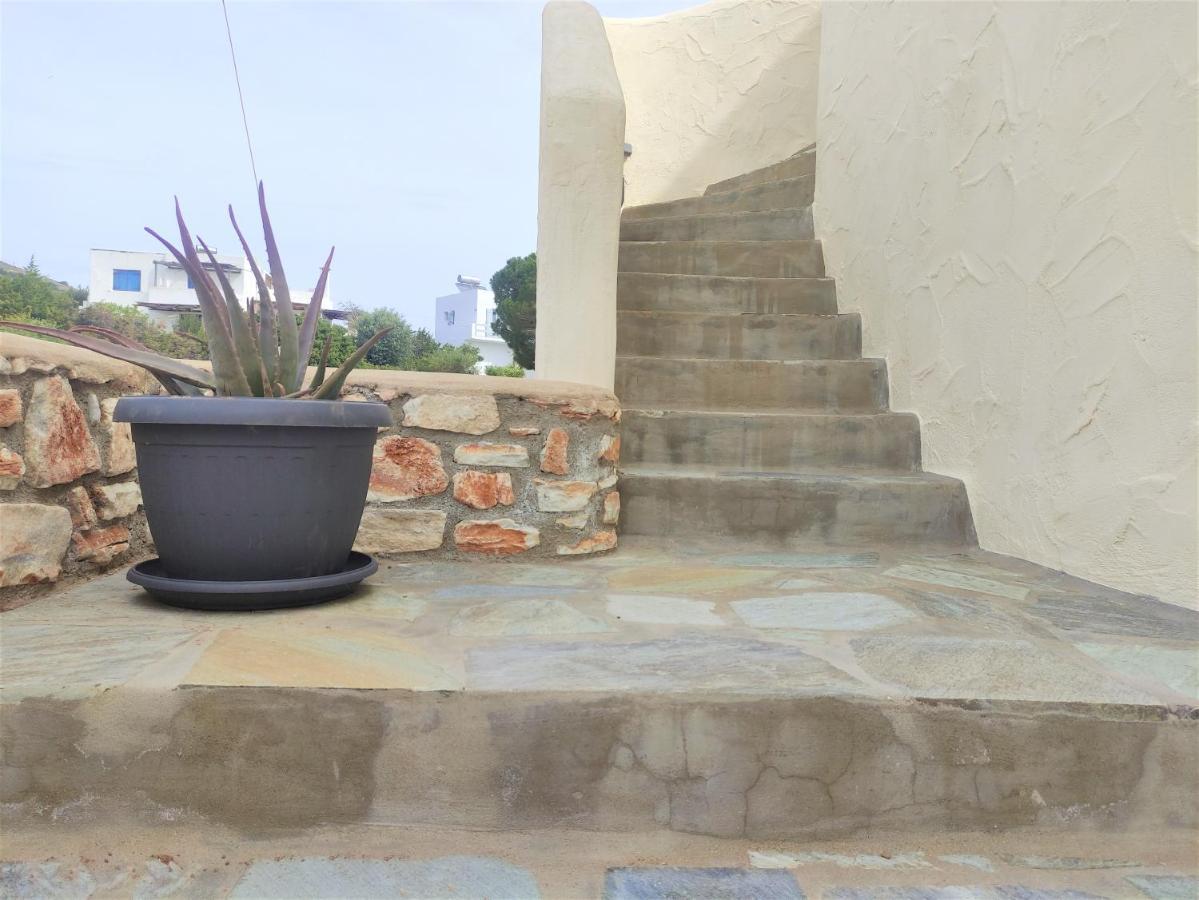 דריוס Mosaic Suites מראה חיצוני תמונה